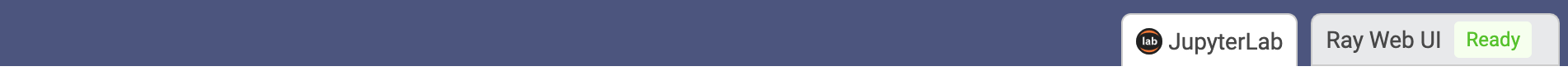 Access Ray UI via Workspace tabs