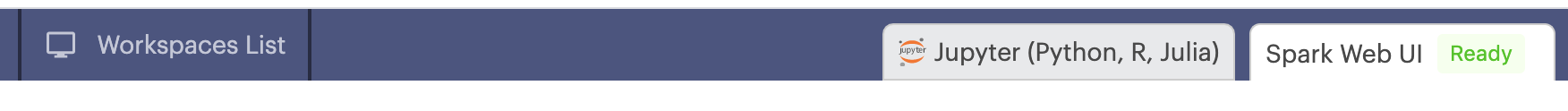 Access the Spark UI from Workspaces