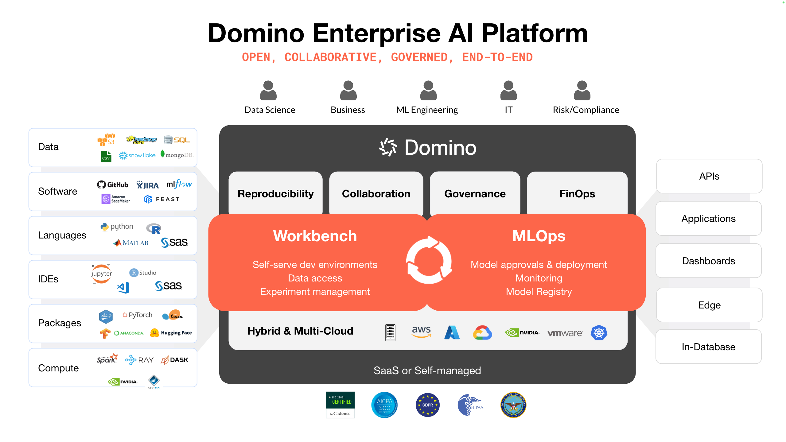 Domino machine learning ecosystem