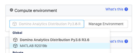 MATLAB Compute environment