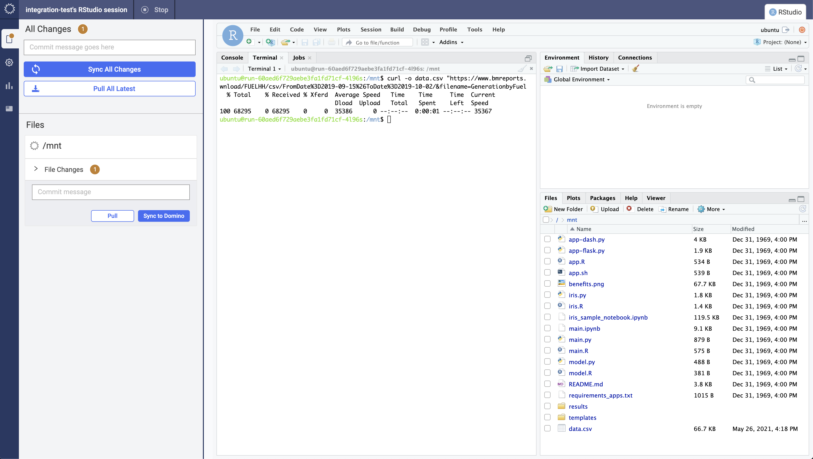 Rstudio terminal after wget