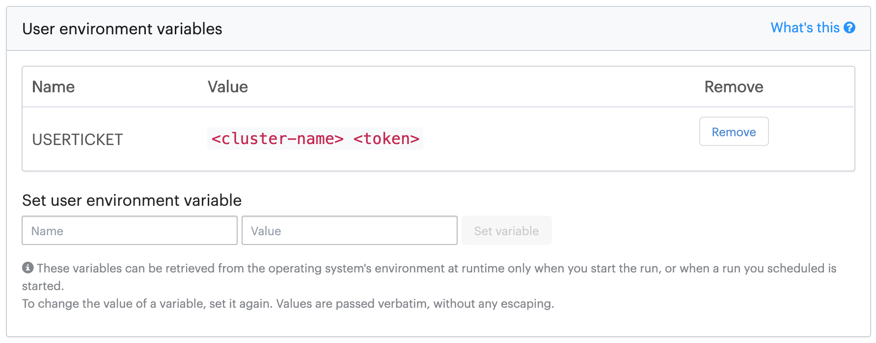 Set the environment variable