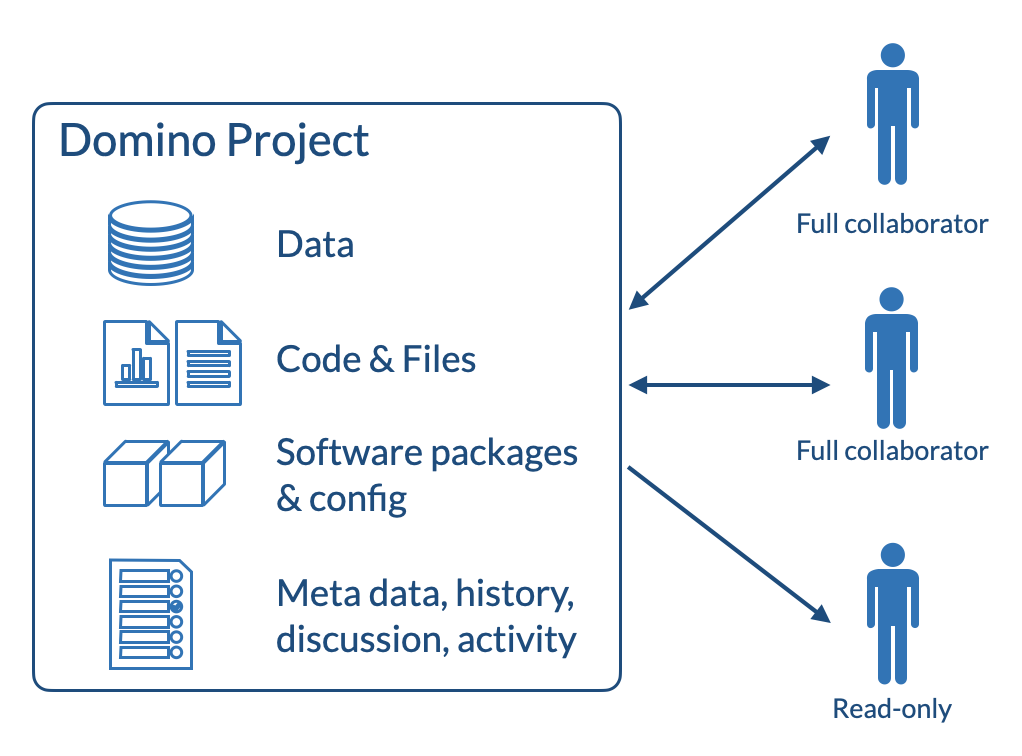 Domino Project