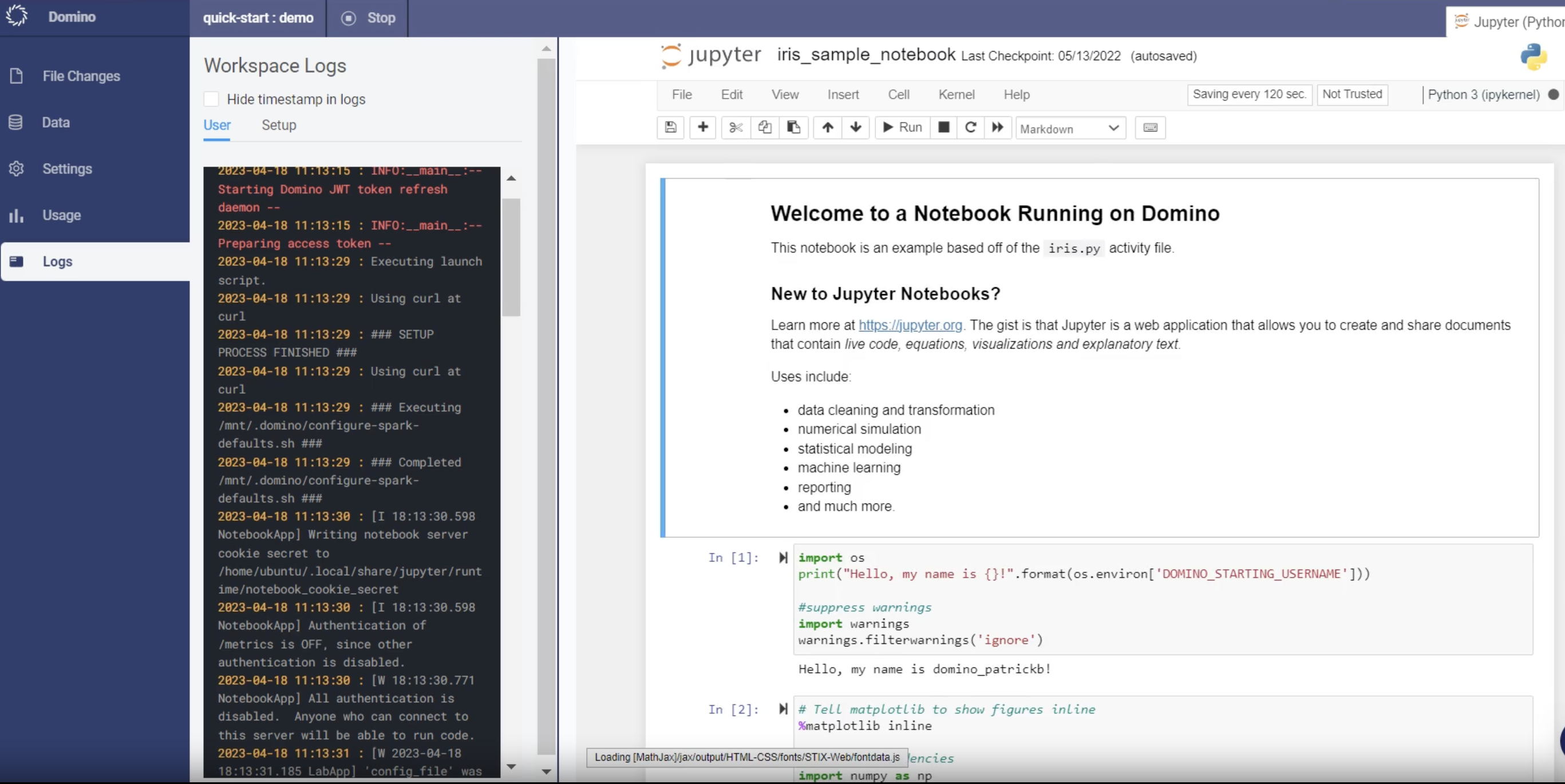 Jupyter Notebooks running in browser through Domino