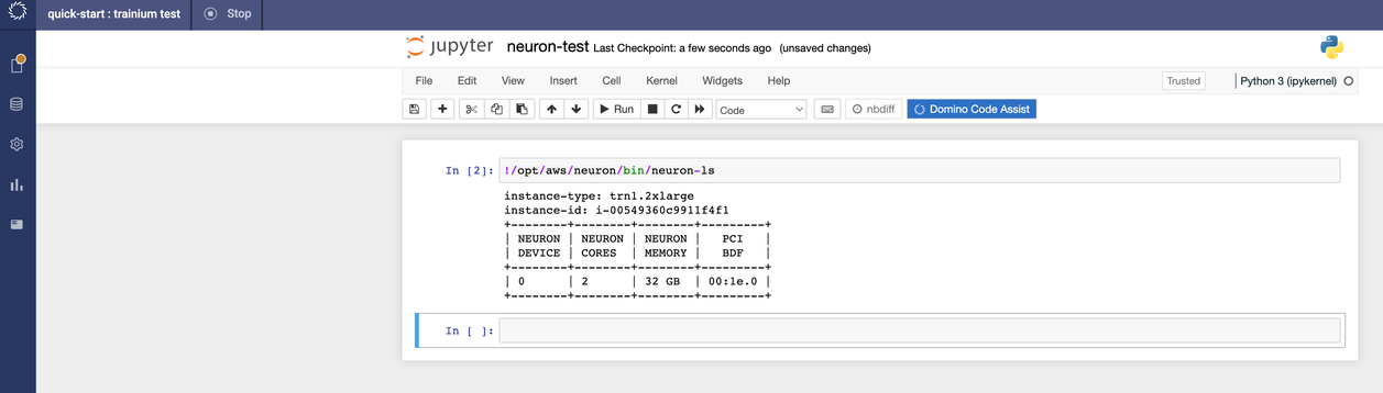 List mounted Neuron devices