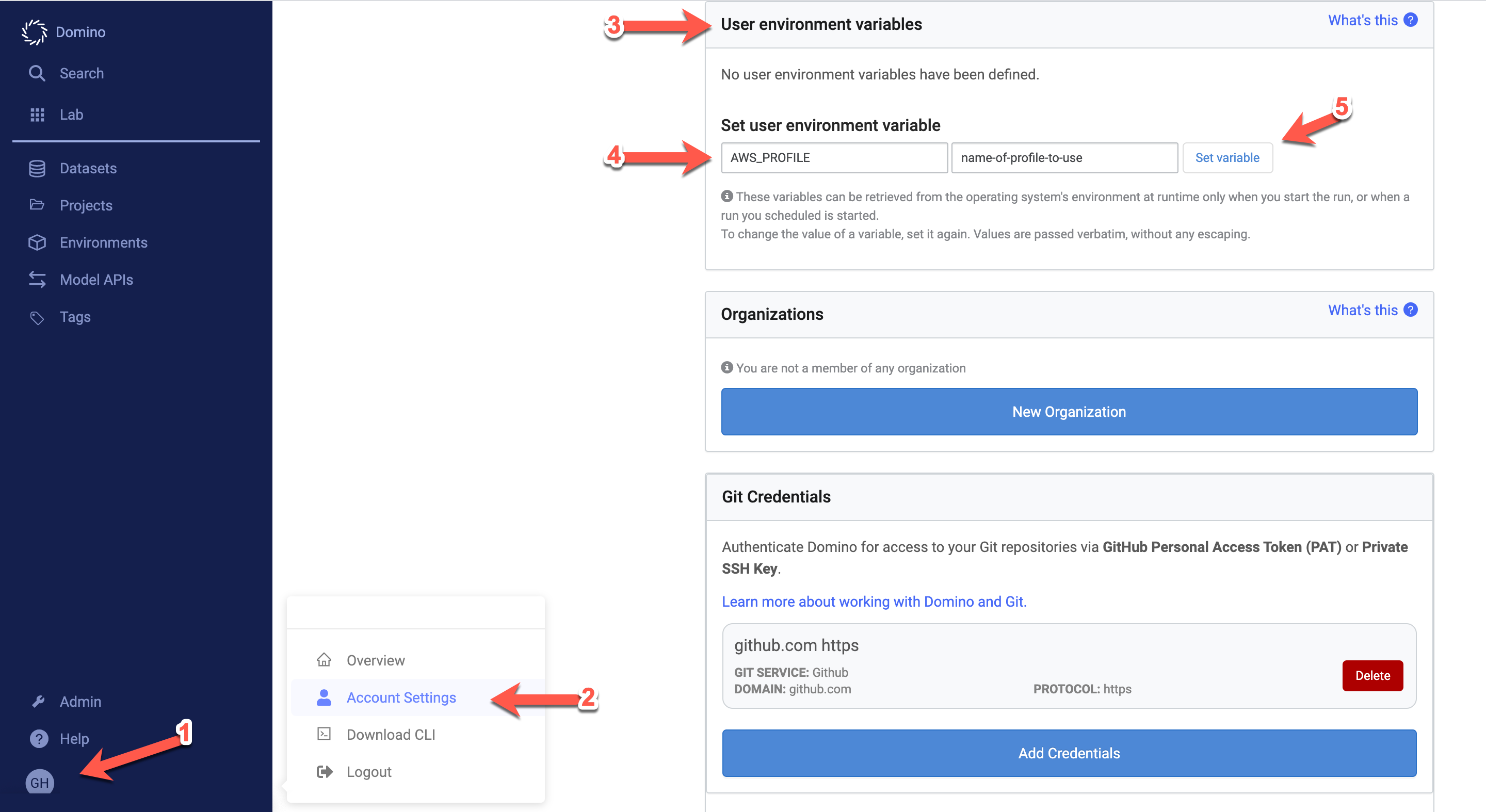 Configure User environment variables